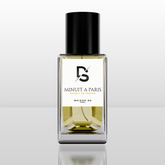 Minuit A Paris (Santal R)